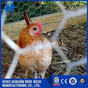 lobster trap & fish trap & hot dipped galvanized hexagonal wire