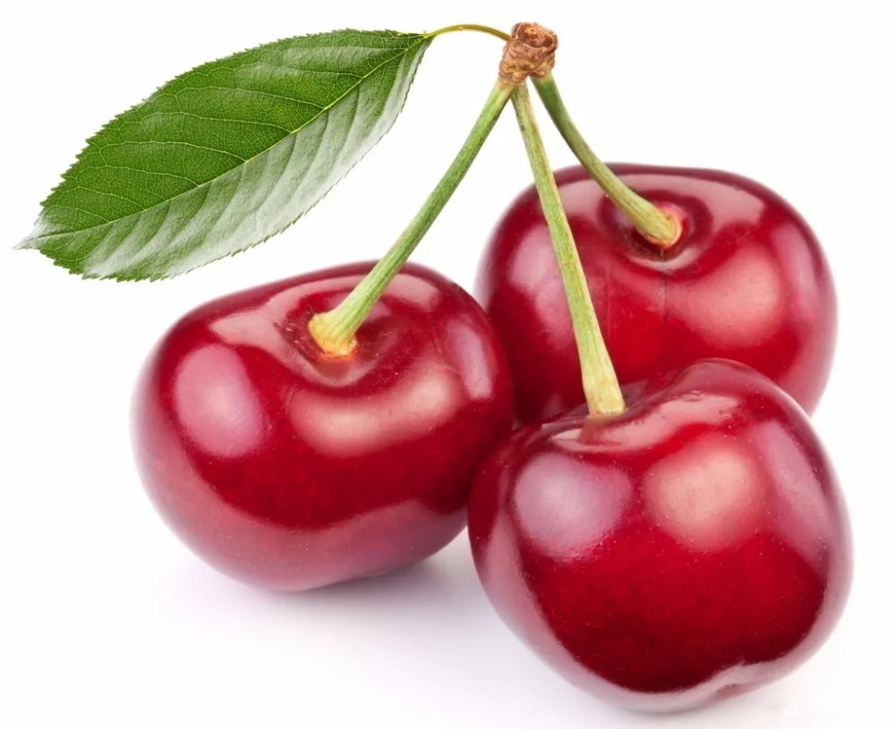 acerola extract vc17% good coniferous cherry extract powder