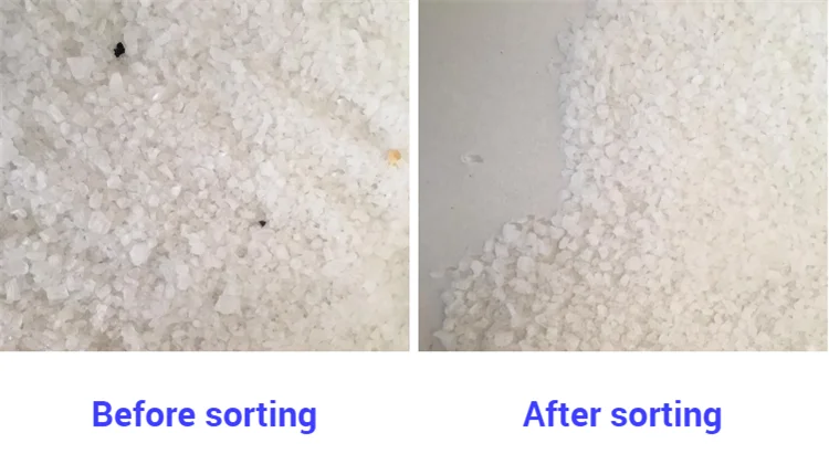 color sorter camera (3).png