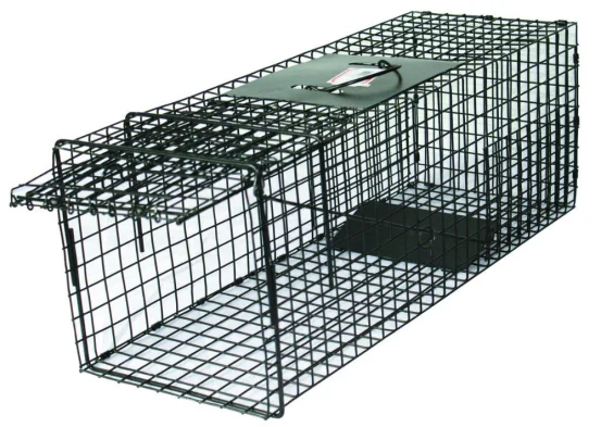 beaver trap