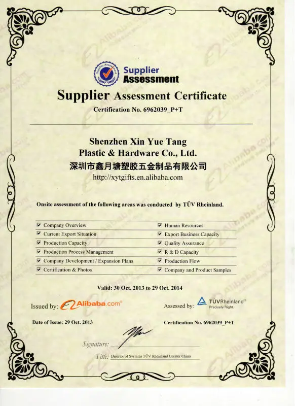 Alibaba assessment cert.jpg