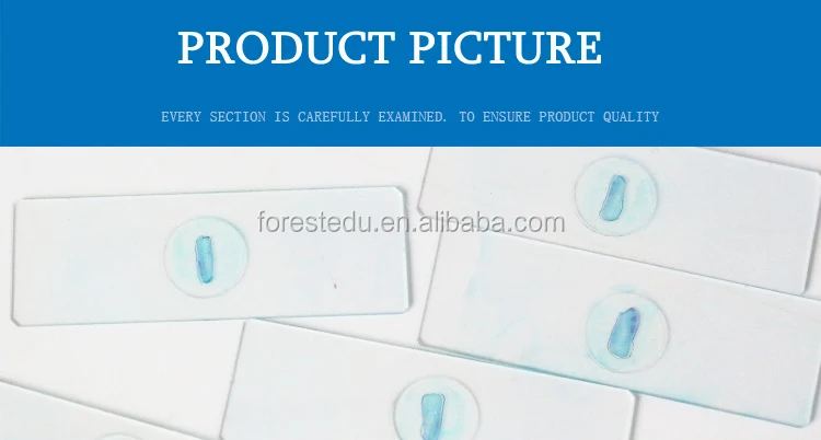 6 microscope slides 7101.jpg
