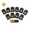 Remote firework digital firing system