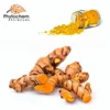 Manufacturer Bulk price natural 10%-95% curcumin Turmeric root powder