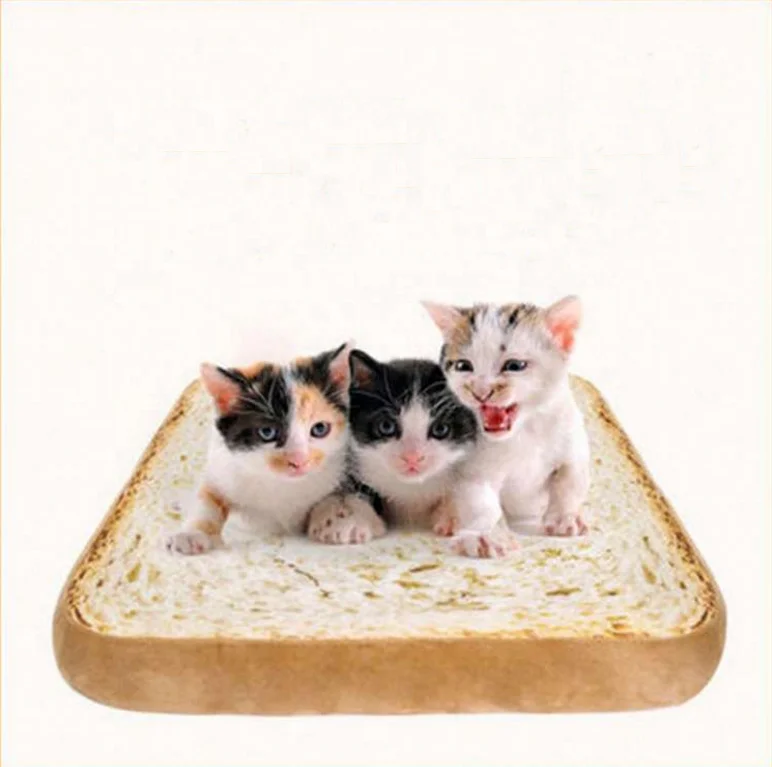 cat bread plush