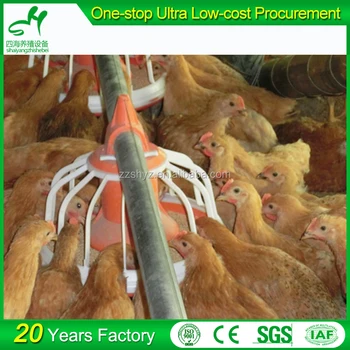 Broiler Chicken Poultry Farm Equipment For Sale Buy Poultry Farm Equipment For Salepoultry Farm Equipmentfarm Equipment Product On Alibabacom