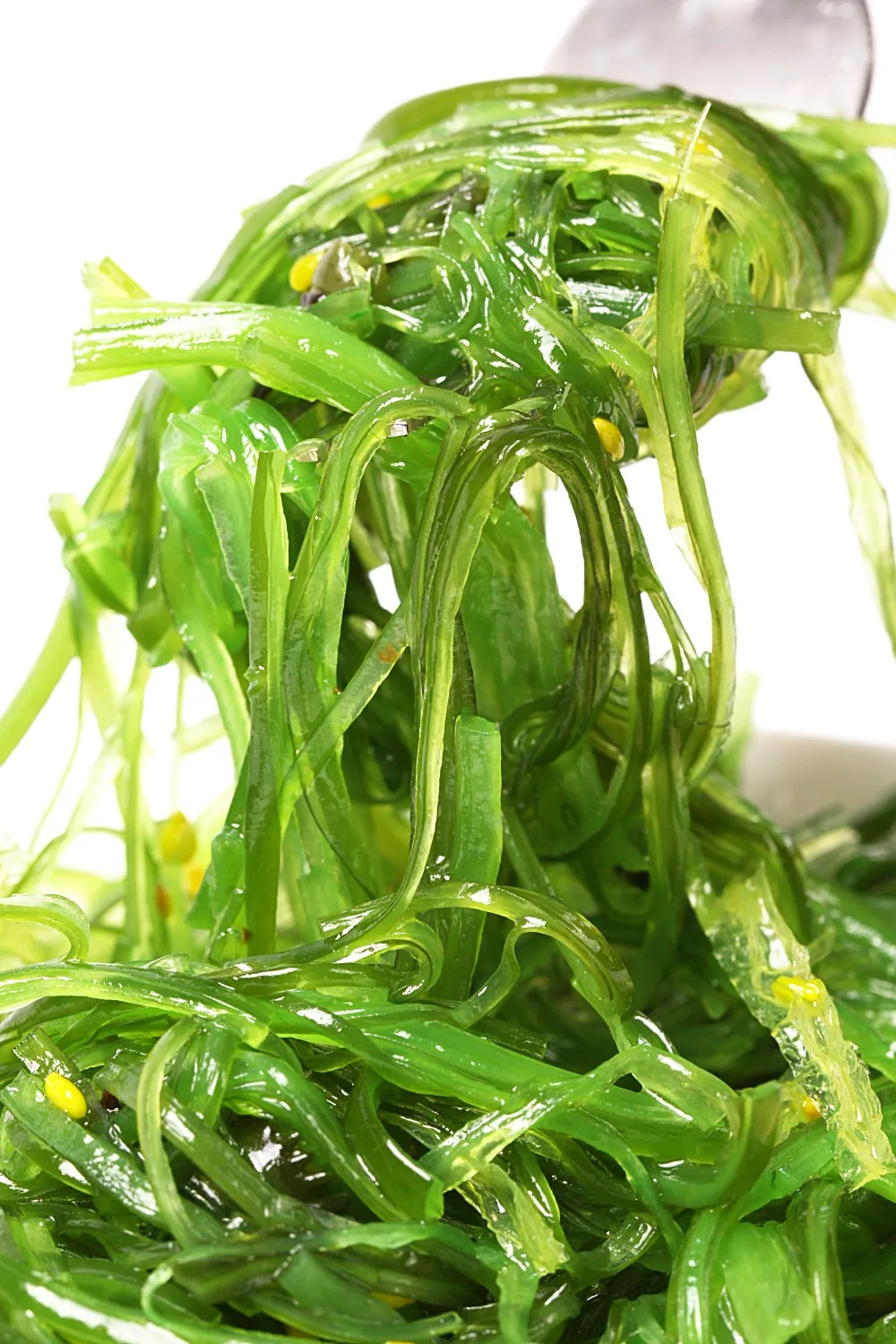 Japanese Sushi Nori Seasoned Dulse Seaweed Salad Buy Japanese