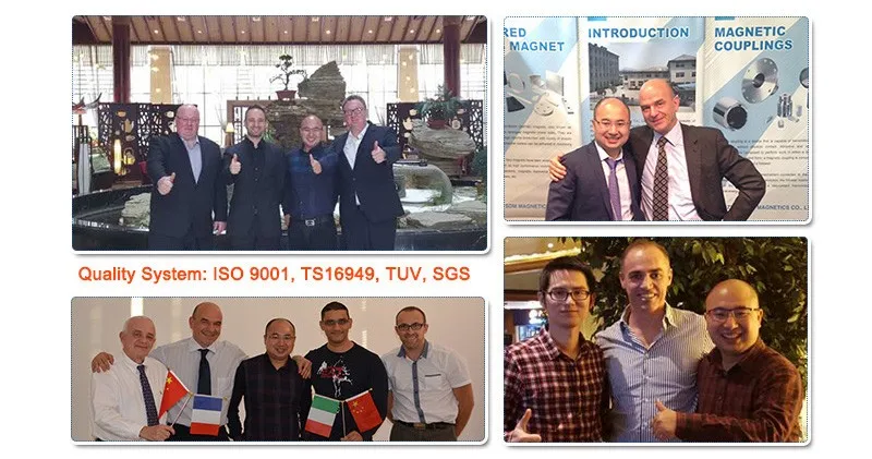 ISO9001 TS16949 Customized Free Sample Strong N52 Neodymium Magnet