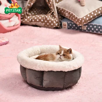 funny cat beds