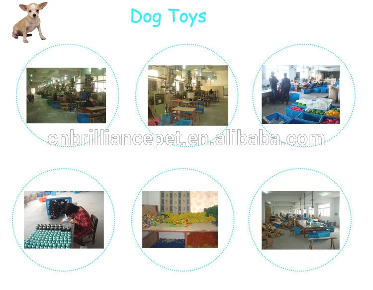 Dog Toy factory.jpg