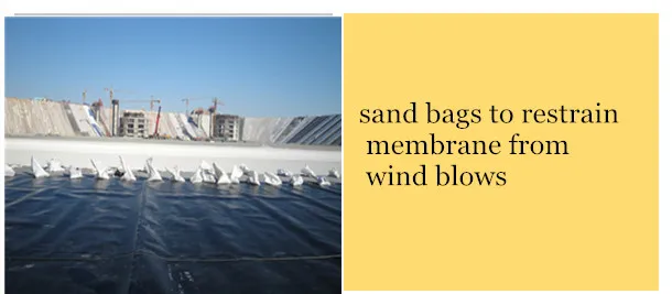 fish pond liners in kenya