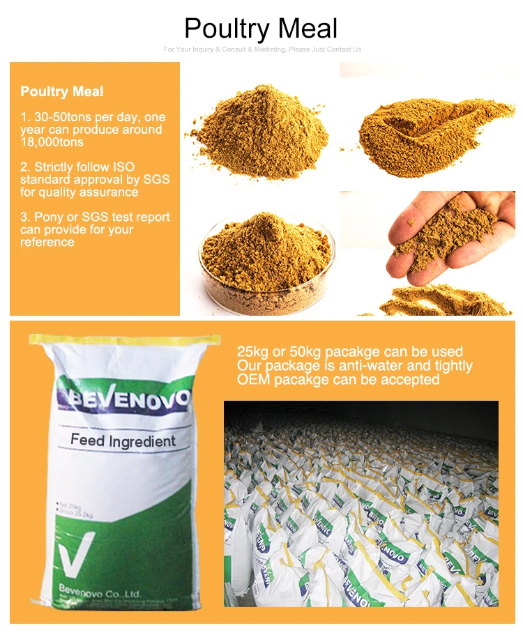 supply-poultry-by-product-meal-65-protein-buy-poultry-by-product