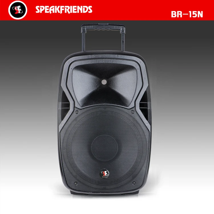 Speakfriends Accept Custom Active 15 Inch Speakers With Strobe Light
