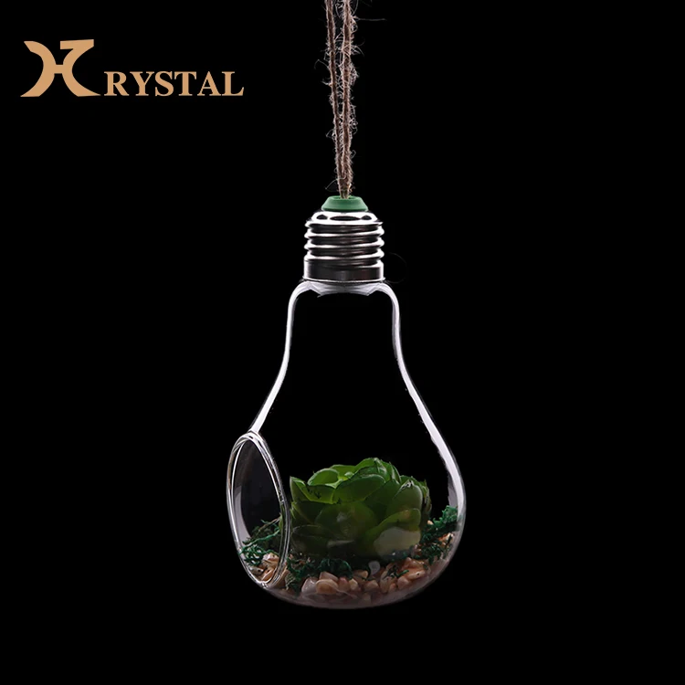 Clear Glass Hanging Planter Air Plant Terrarium Container Light Bulb