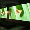 P5 led backlight for sign board