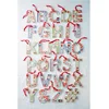 Personalized Acrylic Monogram Ornament