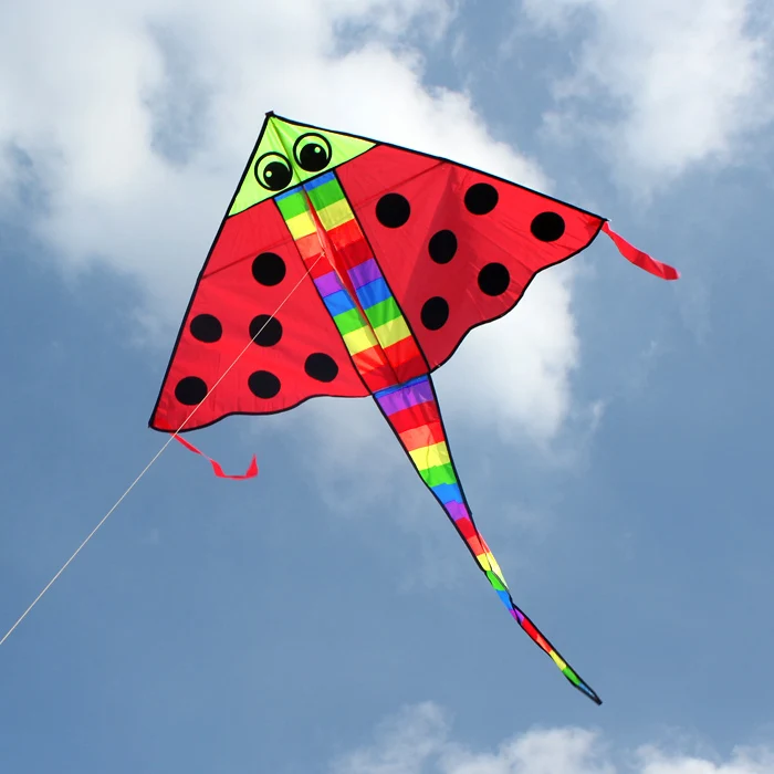 New Style Cheap Kites For Kids Buy Cheap Kites,New Style Kite,Kite