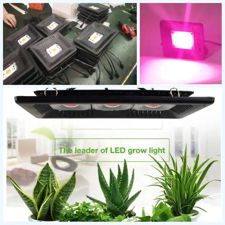 led grow light