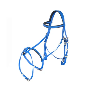 horse racing equipment