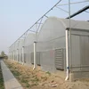 Multi Span Arched Roof PE Plastic Film Hydroponic Automated