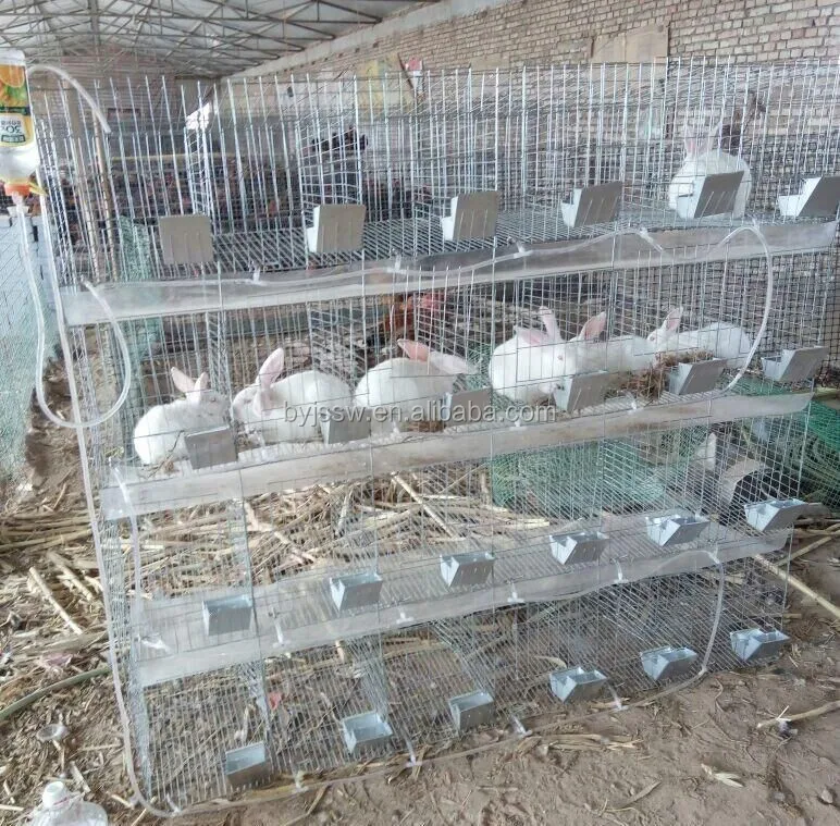 Factory Supply Discount Galvanized Commercial Rabbit Farming Cage