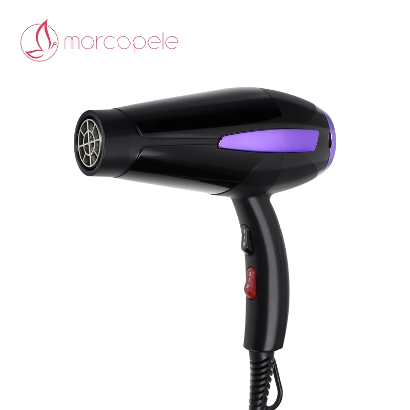 Professional 2 Speeds 3 Heat Settings Powerful Fast Dry Blow Dryer