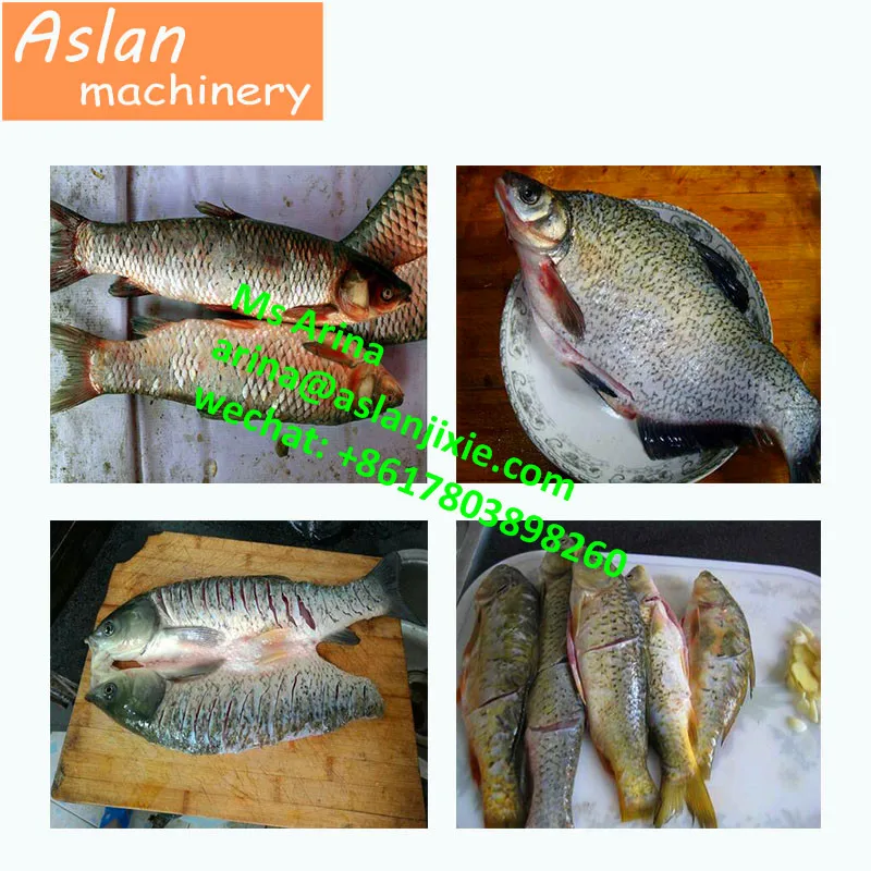 商業用魚キラー 草鯉スケーリングマシン 鯉殺し機 Buy Carp Killing Machine Grass Carp Scaling Machine Fish Killer Product On Alibaba Com