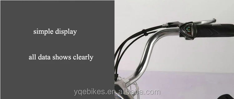 48v 250w Electric Bike Electric Bicycle