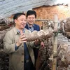 Pleurotus straw mushroom inoculation bagging filling machine bagging machine for mushroom