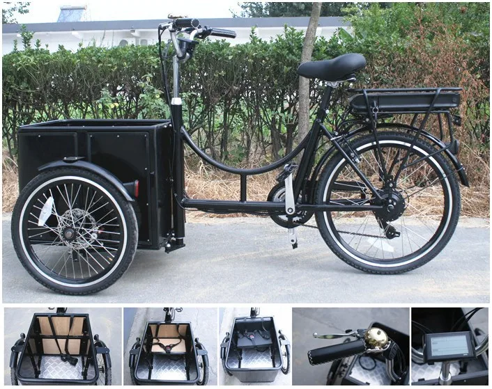 custom 3 wheel bicycle