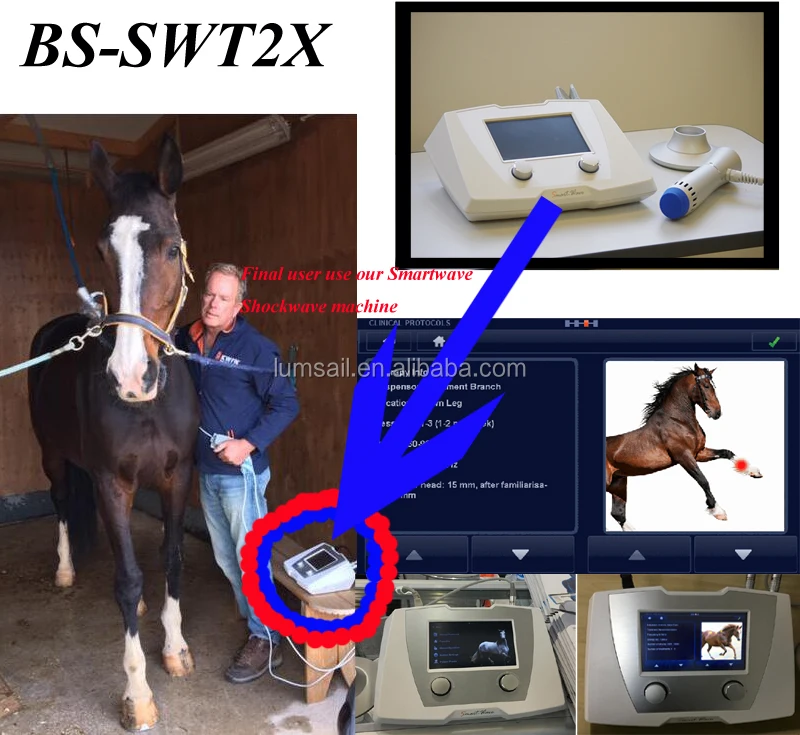 Shock Wave Veterinary Treat Equine Shockwave Therapy Device Veterinary Use Shockwave For Horse