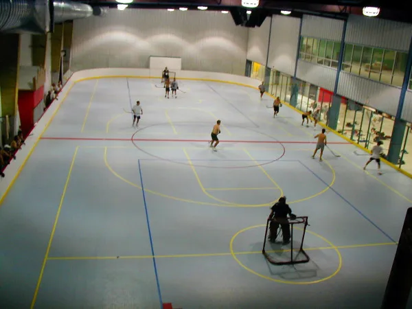 Wholesale Portable Roller Skating Rink Pp Interlocking Flooring For ...