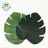 China brand Perfect new design EVA leaf shape unique placemat