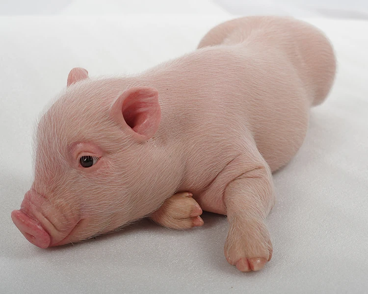 pig life size