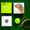 custom luxury cardboard paper gift box with dog gps tracking collar for pet packaging box