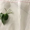 Fine green house micro mesh insect netting