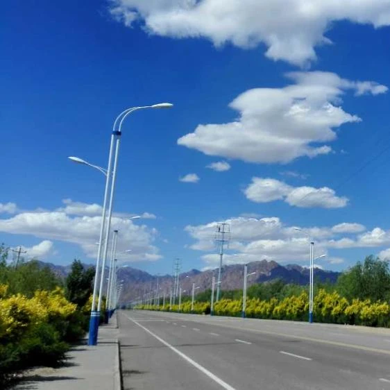 10m Singe/Double Arm  Street Lighting Poles For Street Lighting