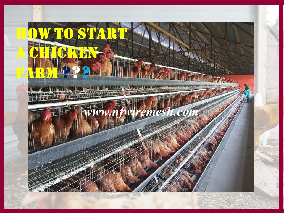 2016 Africa hot sale 3/4 layer chicken battery cage/design layer chicken cages (Guangzhou Factory)