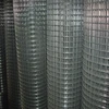 Making welded wire mesh Function and Electro Galvanized Galvanized Technique Galvanized wire