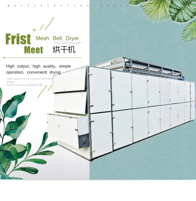 mesh belt dryer1.jpg