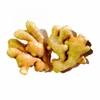 250g up new crop fresh ginger competitive price ginger wholesale