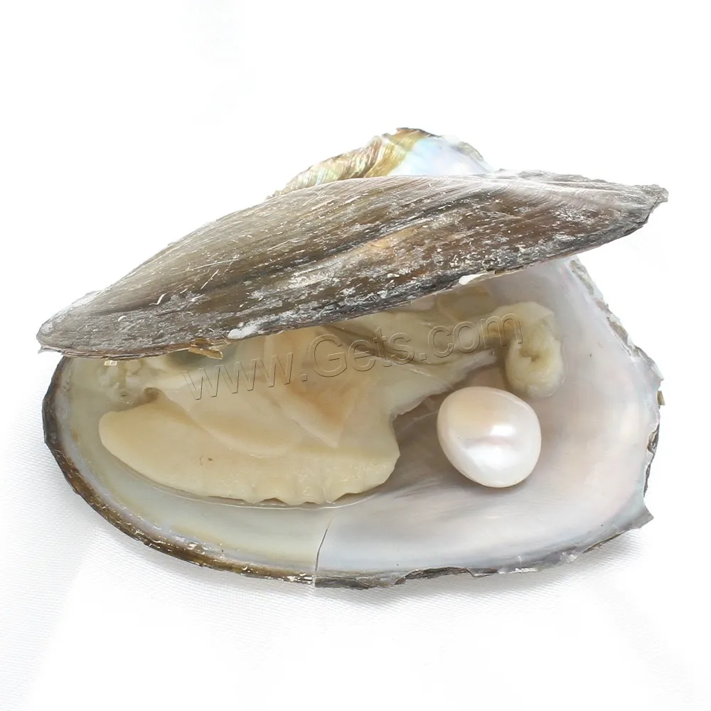 8mm pearl oyster shell