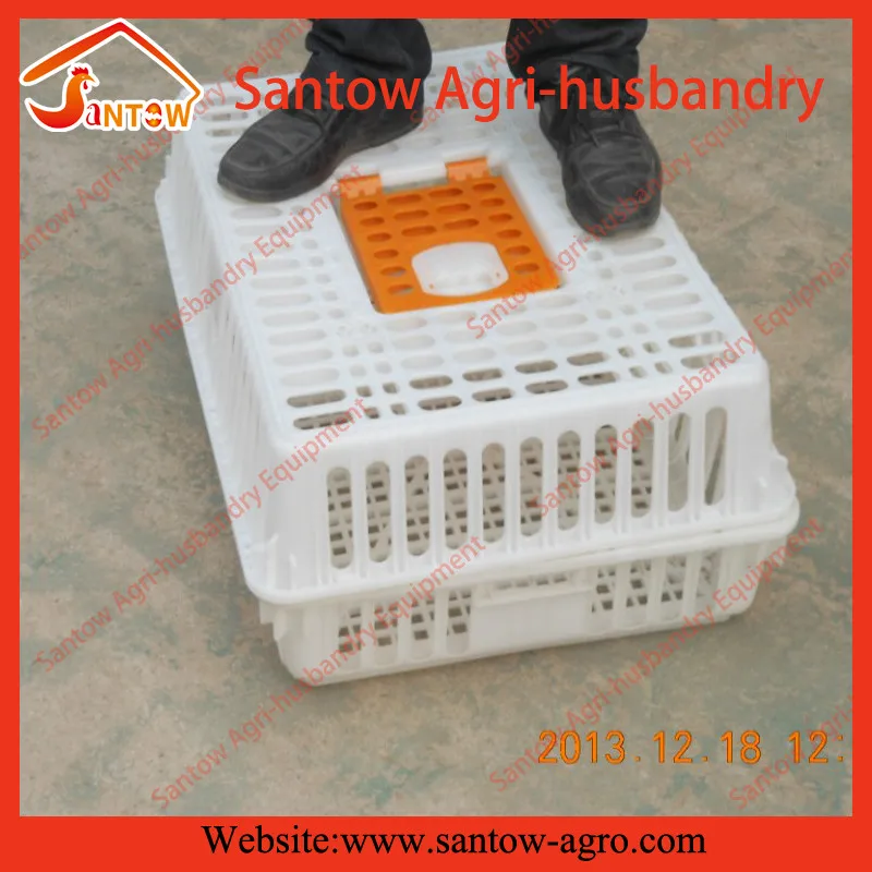 Environmental plastic chicken duck quail birds pigeon poultry transport cages for sale