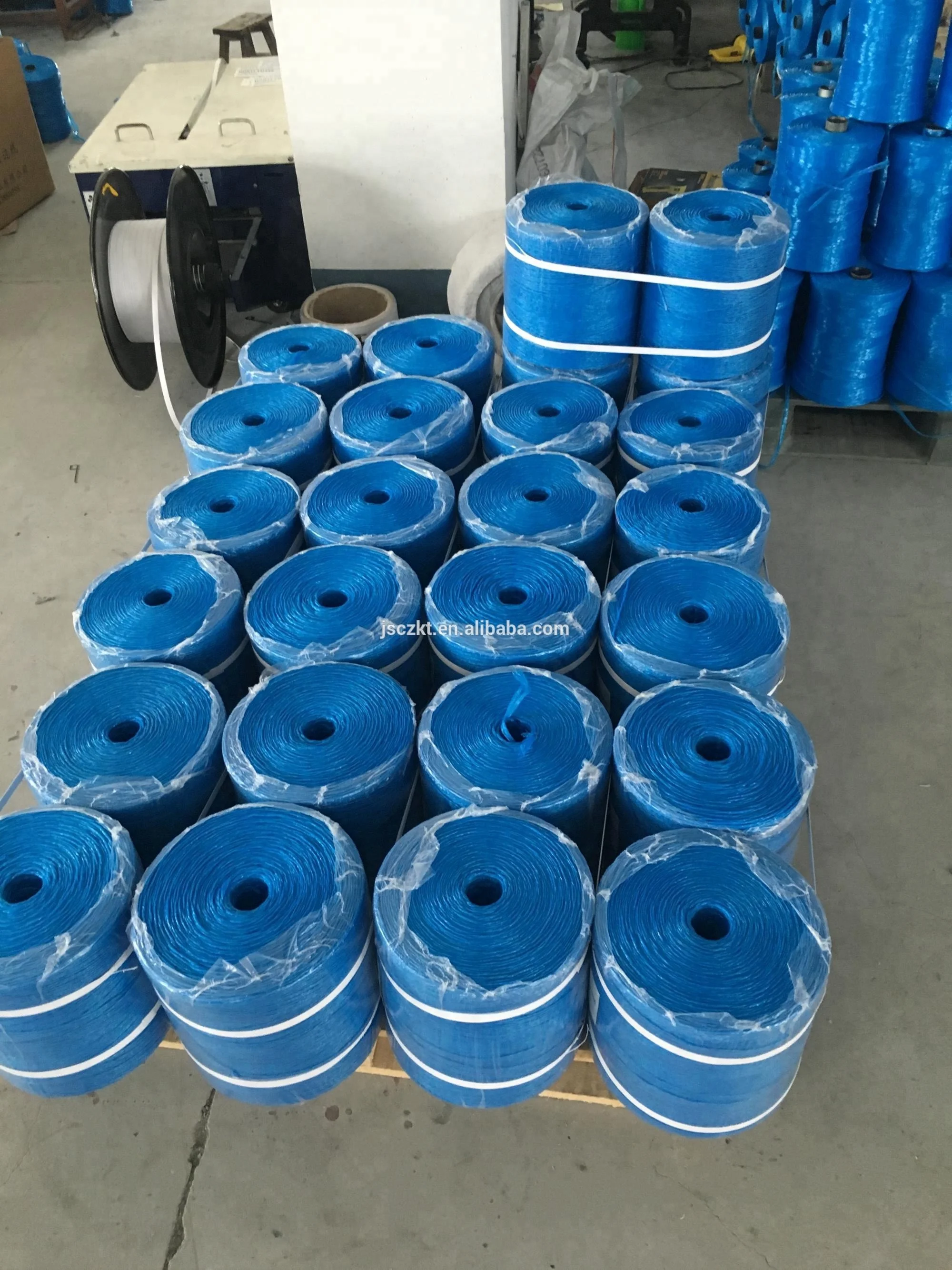 High Quality Vegetable Garden Greenhouse Agricultural Packing Pp Twine