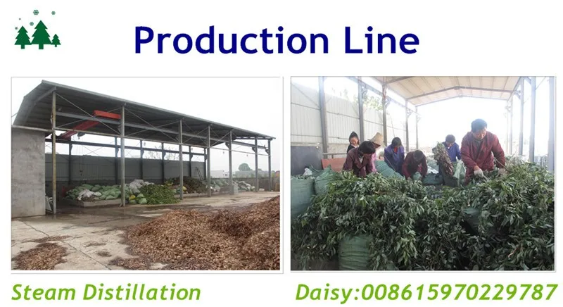 production line.jpg