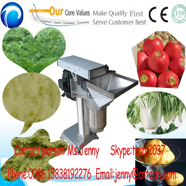 Vegetable Paste Making Machineused Paste Maker