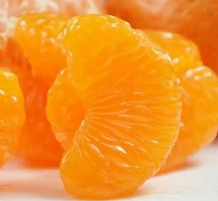 orange26 (20)