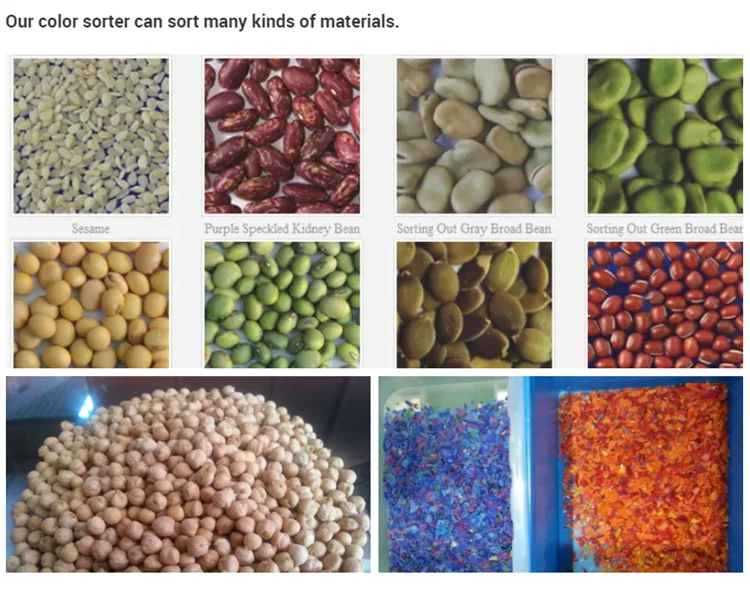 color sorter camera (4).png