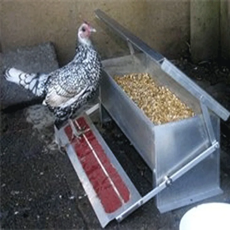 Aluminum Automatic Treadle Feeder Chicken Feeder Buy Treadle