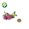 ISO Certified Red Clover Extract 8% 10% 20% 40% Isoflavones